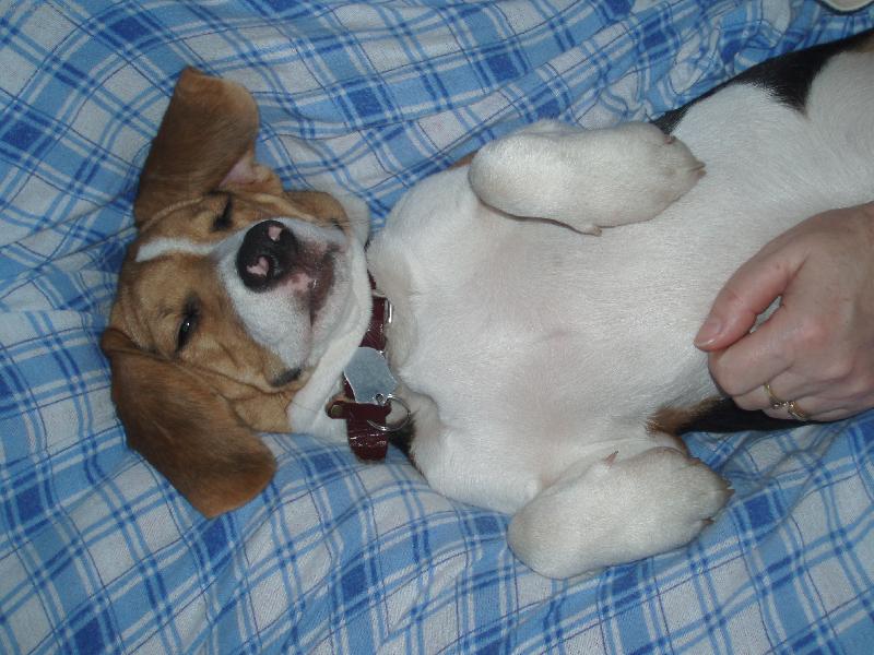 Foto: Aira-dáš mi pusu?