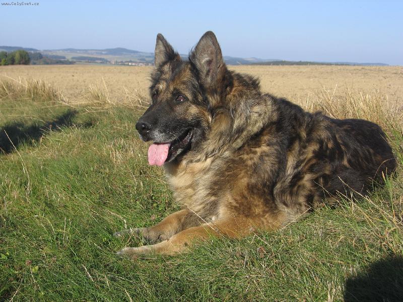 Foto: Fatty z Řežábu-ve 13ti letech