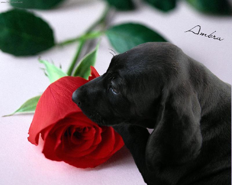 Foto: Ambra NKO-To jí bylo 8 týdnů