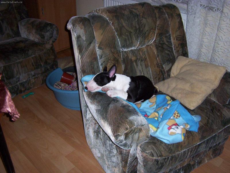 Foto: Whisky-pohodička