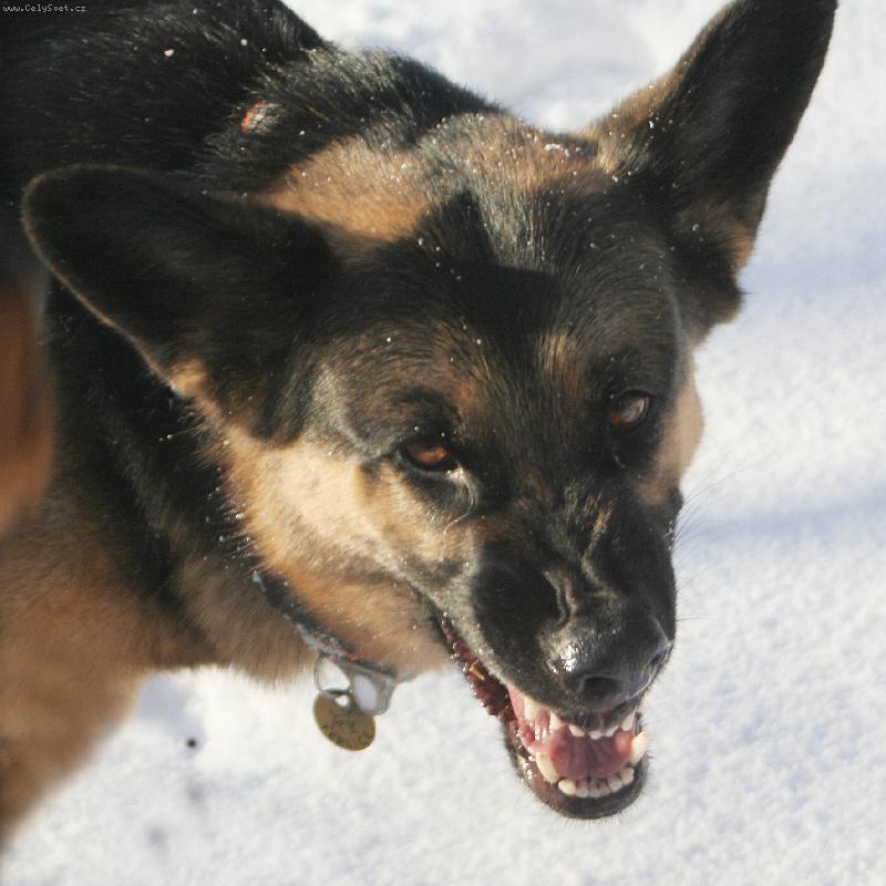 Foto: Úsměv prosím-nesahej!