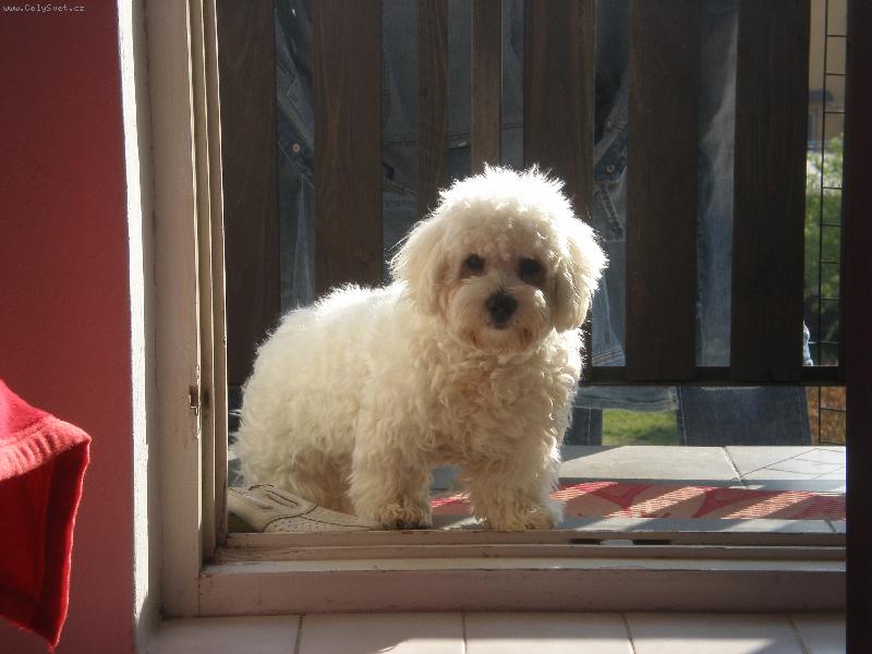 Foto: mazel-něco bych snědl