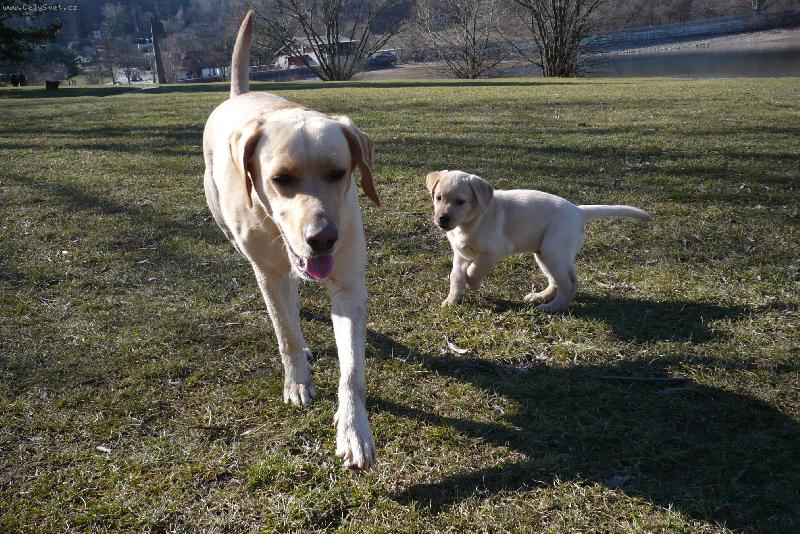 Foto: Bára a její holka-procházka po přehradě Březen 6.08