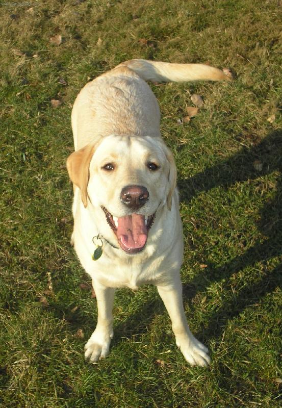 Foto: Milášek můj...-:)