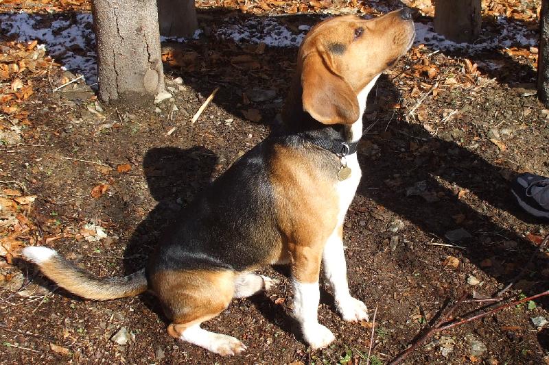 Foto: ČEKÁM NA PÁREČEK-NÁŠ MILÁČEK