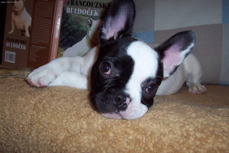 Foto: Chuckyho smutné očka