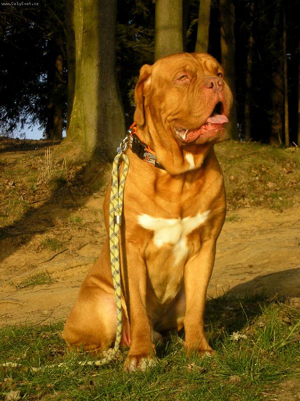 Foto: Na výletě-:-)