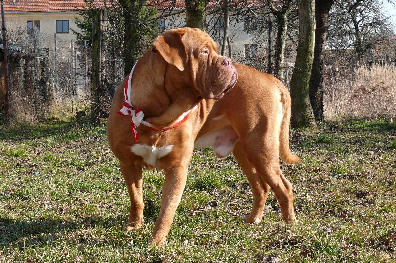 Foto: zkus přijít blíž