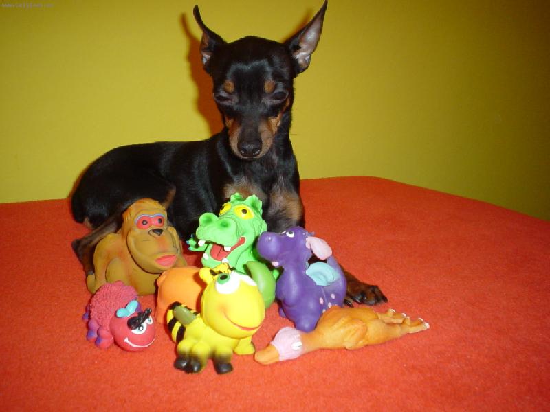 Foto: Spike ve své ZOO