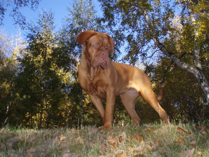 Foto: Carin od Gabči