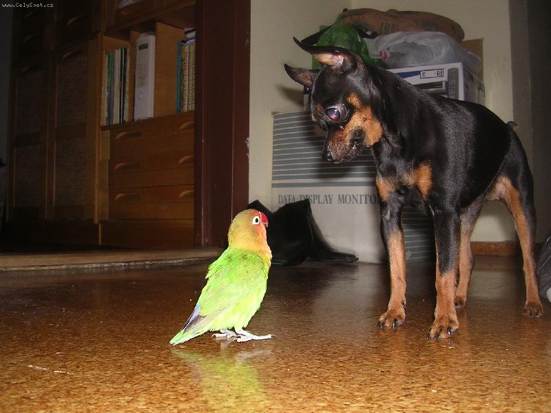 Foto: Terinka a Paulie