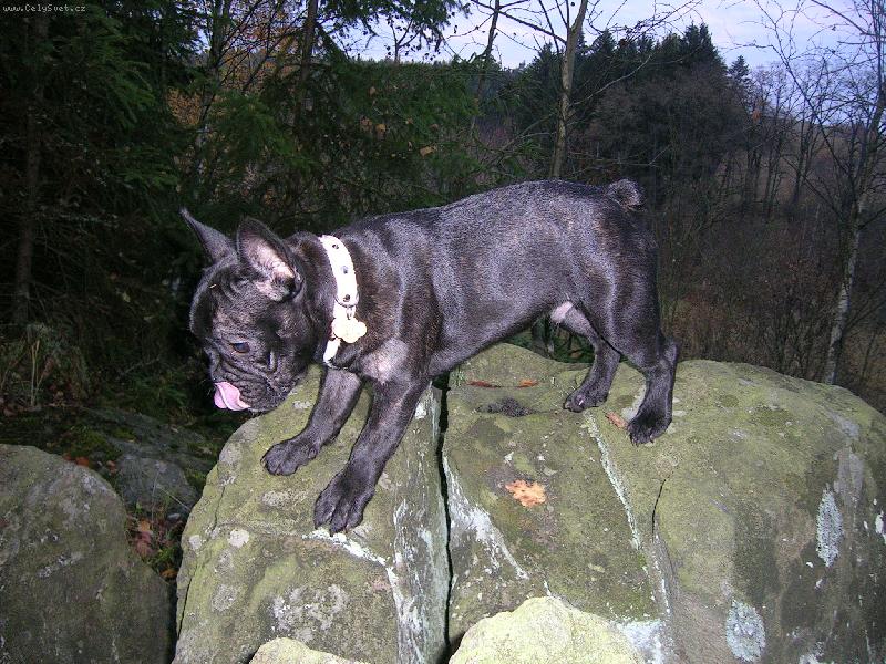 Foto: Jazz-Jé, tam bude nějaká dobrota !