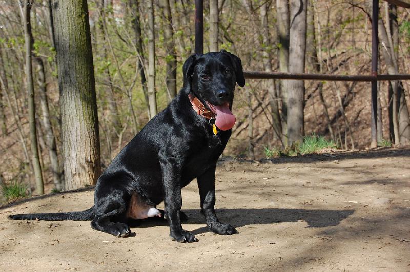 Foto: Jarně unavený