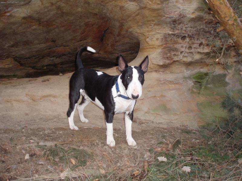 Foto: Whisky-na výletě