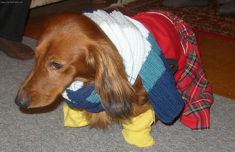 Foto: Ulrik z Vrchánova-to je náš baron ve svátečním