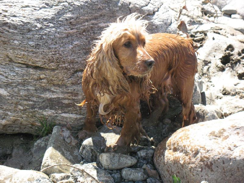 Foto: Mia-ja lovkyne! :0)