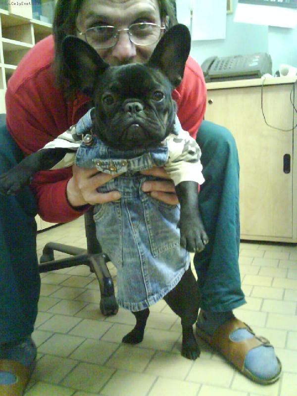 Foto: Růženka v šatech :o)-Růženka v šatech :o)