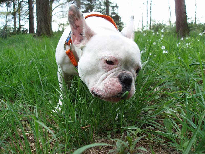 Foto: travička to je dobrota-.-)