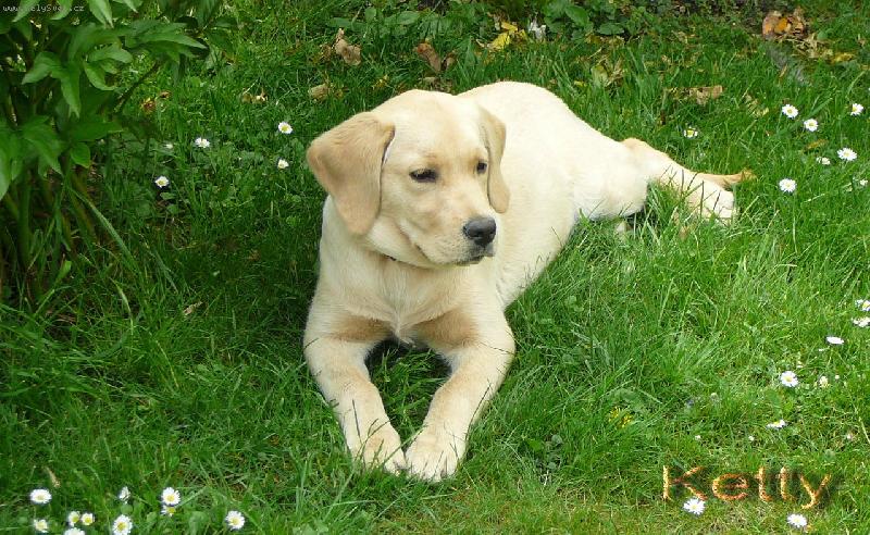 Foto: Bára a její holka KETTY-u nová paničky