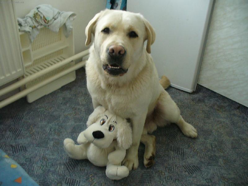 Foto: Jako by mu z oka vypadl-Celej po tatínkovi he..?