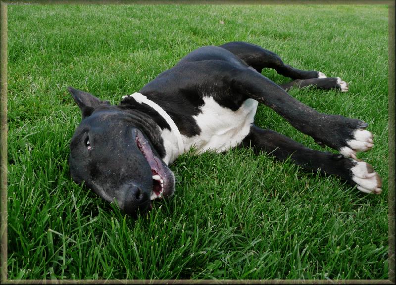 Foto: Ozzynek :D-Krteček se raduje ze života :D