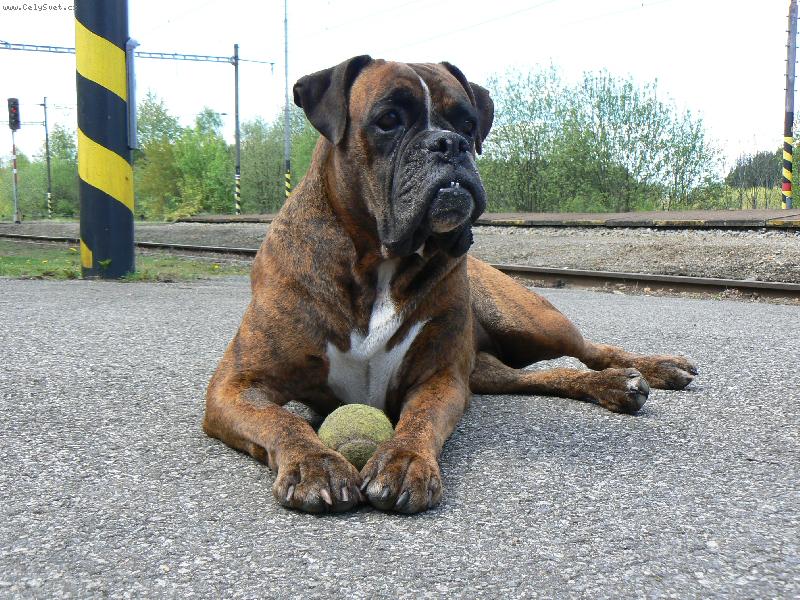 Foto: Blondy v Popelíně