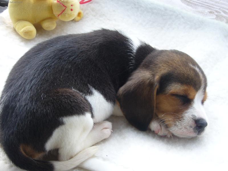 Foto: Niky hooodně maličká