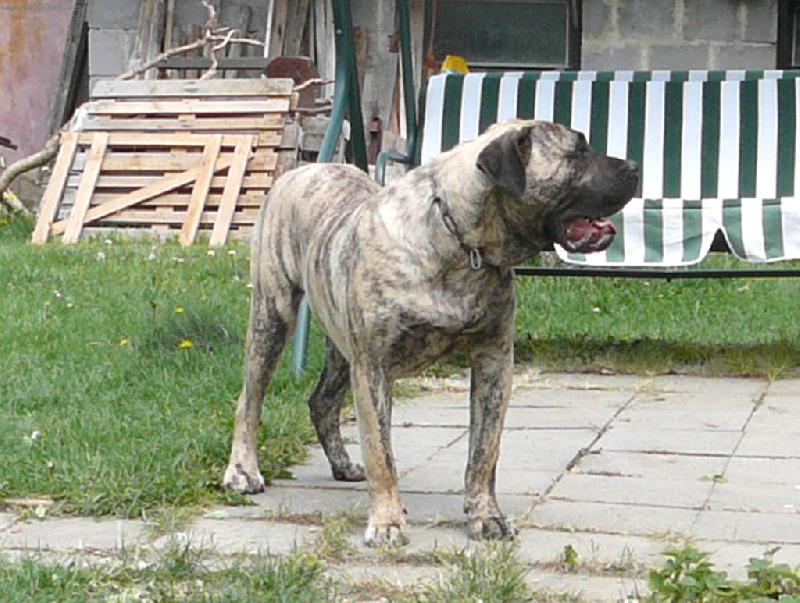 Foto: MagoZ Chamjan-10měs.