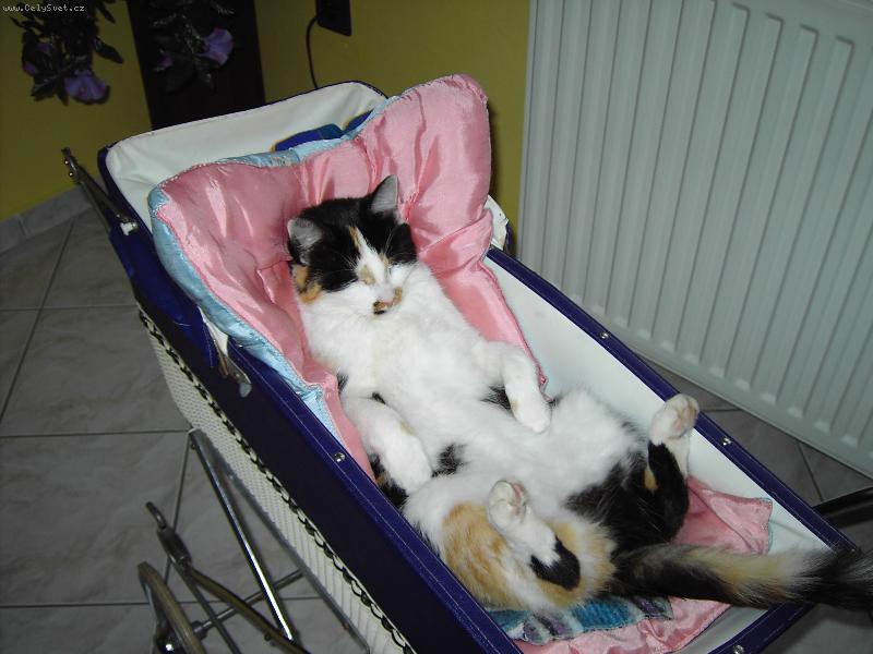 Foto: Lízinka-Jako miminko