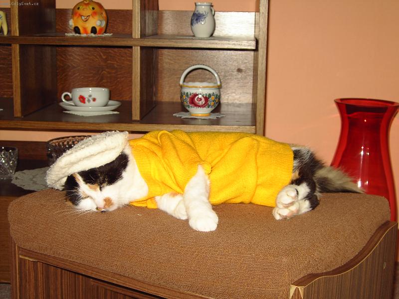 Foto: Lízinka-To mi ale sekne