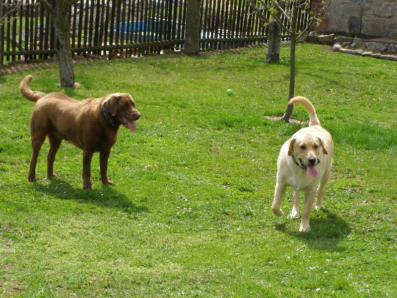 Foto: bráškové-kdo bude první