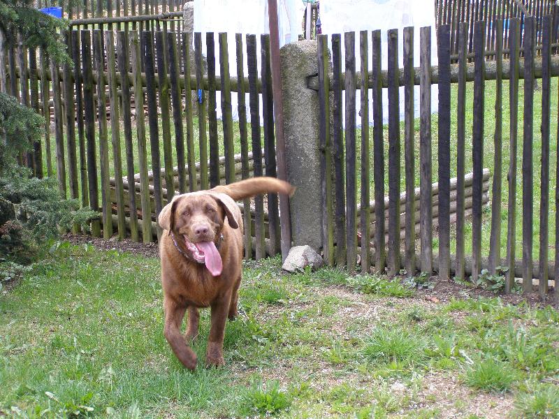 Foto: Rocky-to je můj rajón