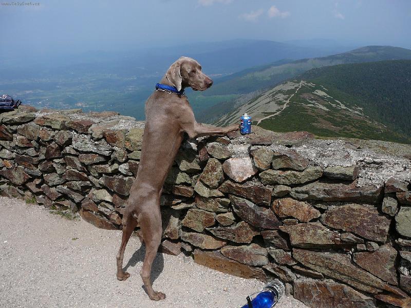 Foto: Faust-kochám se ze Sněžky