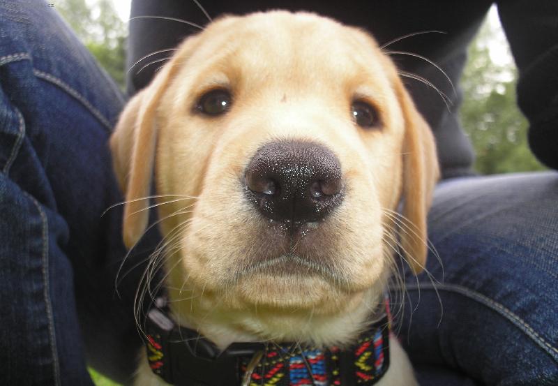 Foto: Brituška jako miminko :)