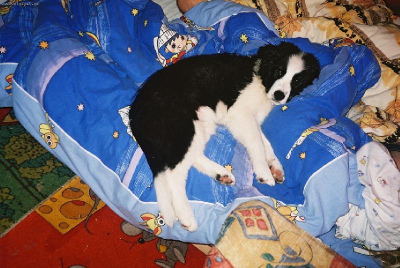 Foto: Aldíčkův odpočinek