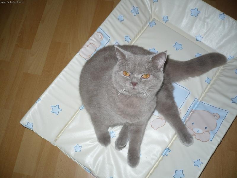 Foto: Baltík
