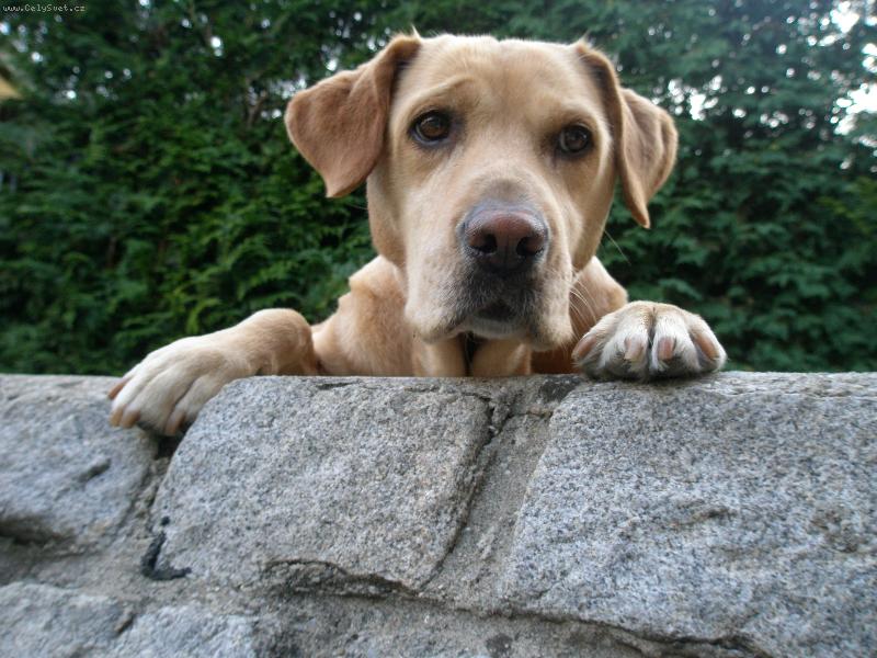 Foto: Foto-Foto