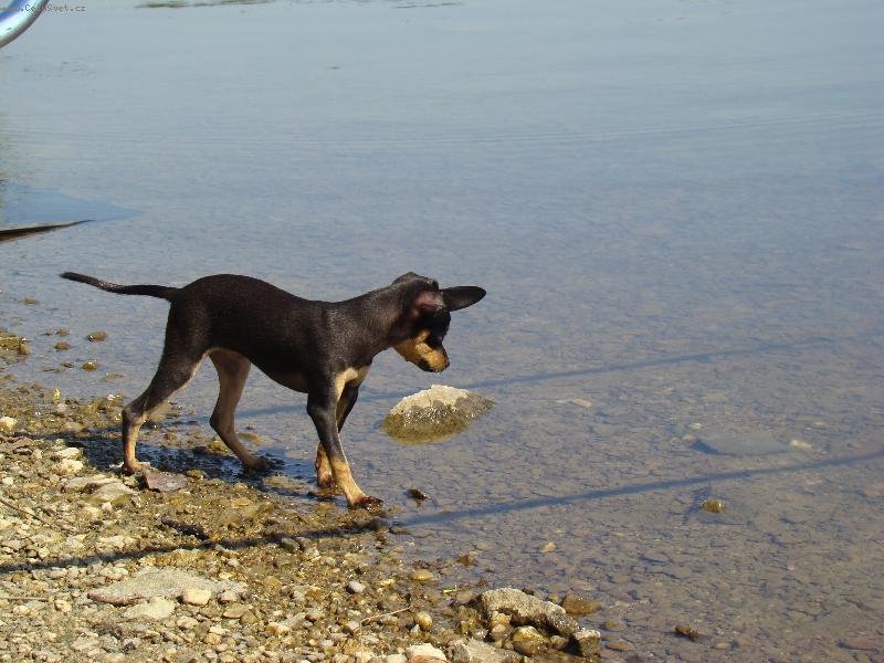 Foto: na rybách-voda