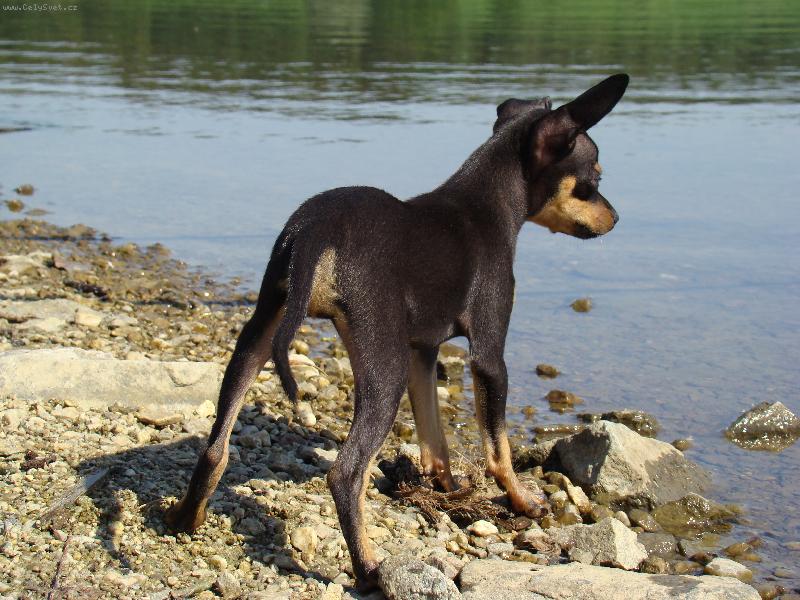 Foto: na rybách-voda