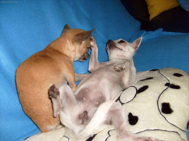 Foto: P��telstv�