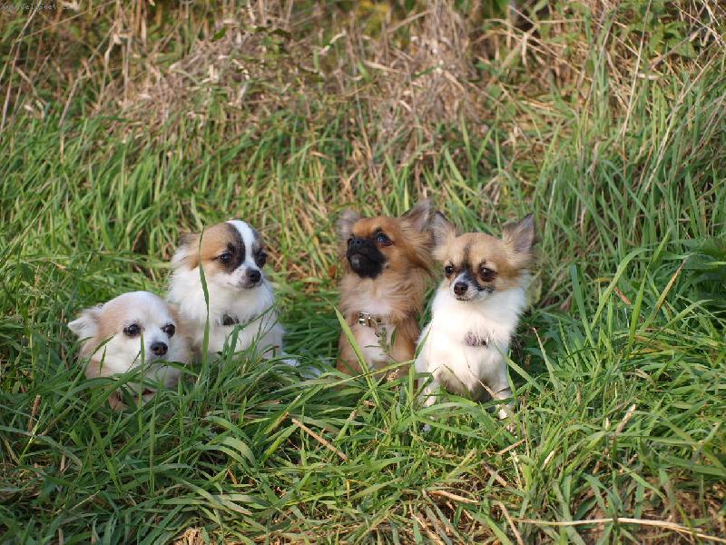 Foto: �ivavy v tr�v�