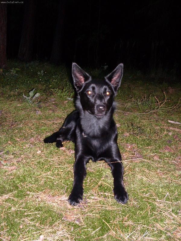 Foto: lusi-lusi