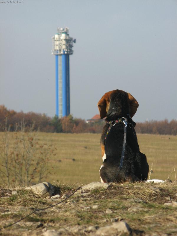 Foto: Maťo-Maťo