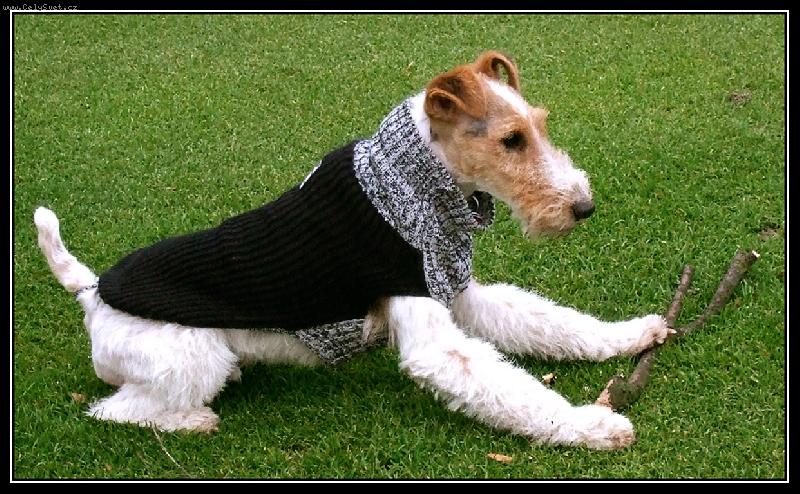 Foto: ben2 6_12_08-v parku