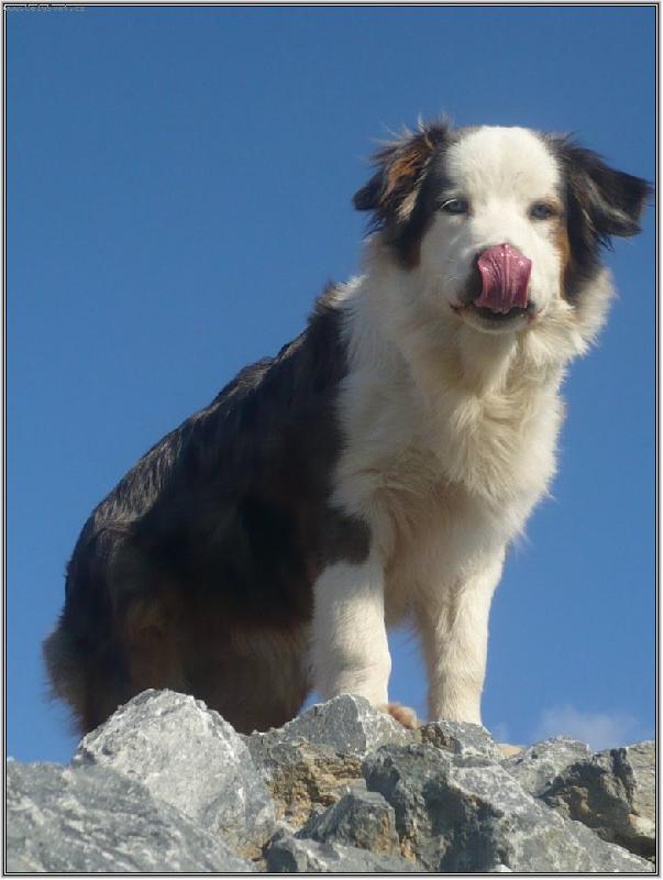 Foto: chceš čamtáka ?