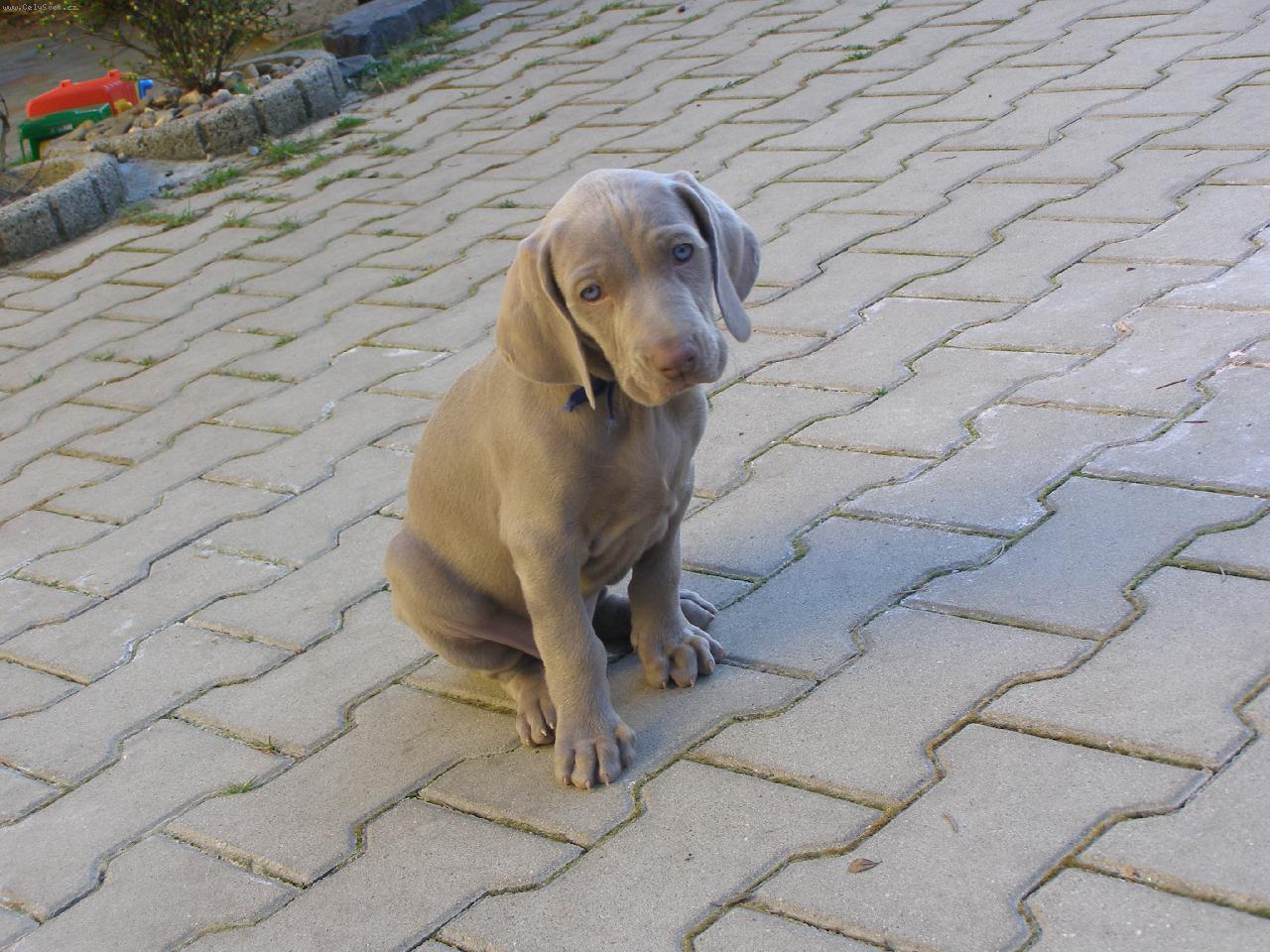 Foto: Bod�k - u� jsem s�m