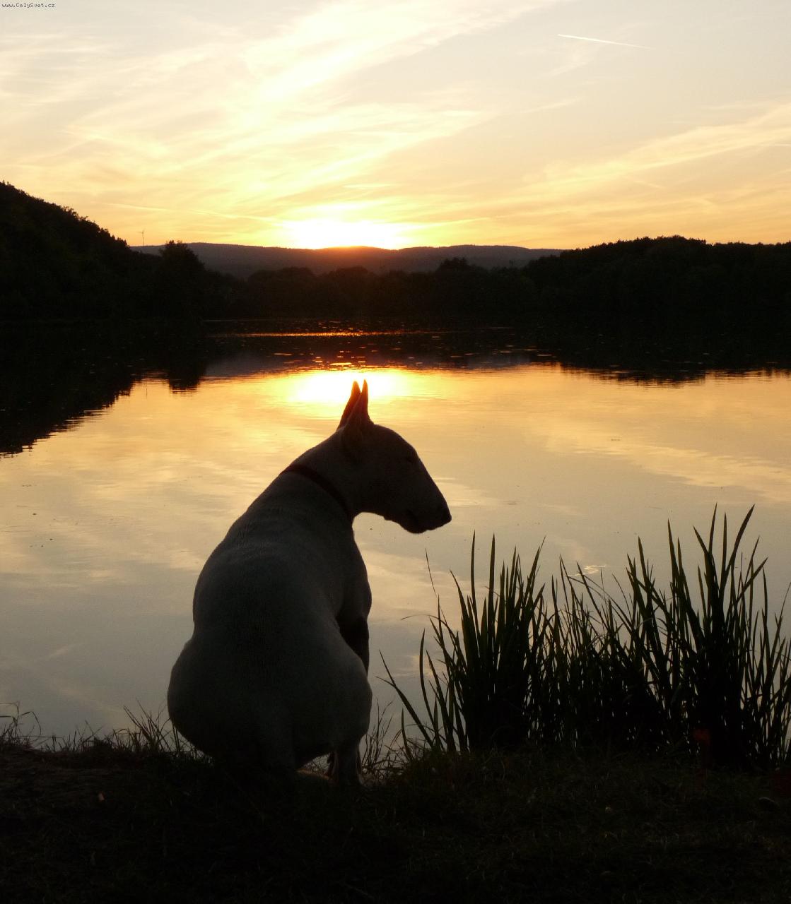 Foto: Romanti�ka Roda