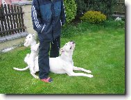 Kampak ten pamlsek panika schovala???