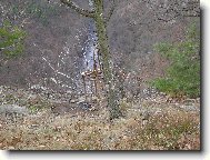 seslik v Narodnim parku Podyjí