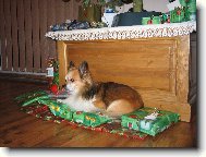 dárek od Ježíška